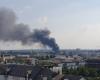 Fuoco violento, FCR, cinghiali… Cosa è successo questa settimana a Rouen