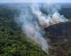 la foresta amazzonica, di fronte agli incendi, ha vissuto la sua prima metà peggiore degli ultimi vent’anni