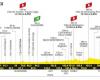TDF. Tour de France – La 3a tappa, sprint… e cambio maglia gialla?