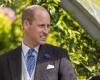 Principe William: il marito di Kate Middleton in tutti i suoi stati, dice tutto di X
