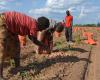 Acqua e agricoltura: l’USAID stanzia 66,8 milioni di dollari per la resilienza climatica in Zambia