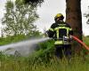 Lotta contro gli incendi boschivi nell’Ille-et-Vilaine: cosa cambia nel 2024