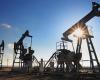 L’Arabia Saudita annuncia la scoperta di nuovi giacimenti di petrolio e gas