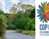 Conferenza delle Nazioni Unite sulla biodiversità / COP16 a Cali, Colombia: si aprono gli accreditamenti per i media – VivAfrik