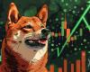 Il prezzo di Dogecoin (DOGE) può innescare un altro aumento a luglio?