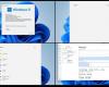 Windows 11 Government: Microsoft sta considerando un’edizione senza telemetria e restrizioni hardware?