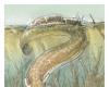 Una salamandra gigante esisteva prima dei dinosauri