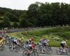 LIVE – Tour de France 2024: tentativo di confine da parte della squadra Lotto-Dstny