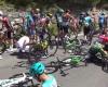 Ciclismo. Giro d’Austria – La 2a tappa è stata neutralizzata pochi minuti dopo una caduta