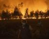 Circa quaranta incendi boschivi stanno ancora devastando il Paese