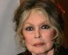 Brigitte Bardot parla apertamente della fine della vita di Alain Delon