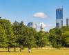 Un corpo sepolto scoperto nel Bois de Boulogne a Parigi