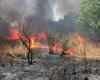 Incendi registrati in diverse wilaya