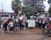 Yvelines. Una cinquantina di manifestanti protestano contro l’abbattimento degli alberi