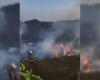 Incendio vegetazione: bruciati tre ettari – Mo News