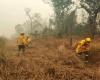 In Bolivia, dietro gli incendi catastrofici, c’è una corsa alla crescita agricola