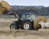 Agricoltura: La Confederazione dei contadini 44 delle campagne chiede donazioni