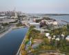 È iniziato il taglio raso della foresta di Ontario Place