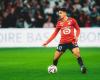 Ligue 1 – P7: Le note dei Dogues dopo LOSC – Toulouse FC