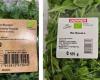 Avvertimento da Berna: salmonella nella rucola italiana