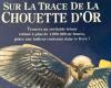 la fine di quasi 30 anni di ricerche per la più grande caccia al tesoro di Francia