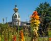 Nantes eletto miglior comune francese per la biodiversità 2024!