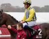 cavallo muore durante il Premio dell’Arco di Trionfo del Qatar