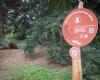 “zone tranquille” installate nel parco Parilly