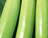 Il prezzo di vendita delle zucchine esplode al rialzo – AgriMaroc.ma