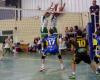 Pallavolo amatoriale (Nazionale 3 maschile). Tarascon/Foix soffre ma non rompe