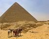 Questo cane sta prendendo il sole in cima alla piramide di Cheope, il video sta diventando virale