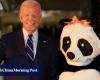 Jill Biden si veste da panda gigante per l'ultimo Halloween alla Casa Bianca