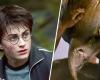 I fan di Harry Potter non si preoccupano della cancellazione ufficiale – Harry Potter