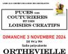 Puce des sarte e hobby creativi Orthevielle domenica 3 novembre 2024