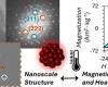 “Nanofiori” per curare il cancro