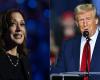 lo scenario confuso di un legame perfetto tra Donald Trump e Kamala Harris