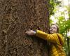 Perché abbiamo bisogno di sviluppare la nostra empatia con la natura?