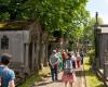 i 3 migliori cimiteri in cui è bello passeggiare nell'Hauts-de-France