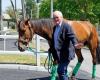 In occasione del 24° Premio Paul-Buquet, l'ippodromo dell'Argentan attira molta gente