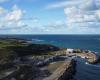 Due resti di pecore galleggianti in questo porto del Cotentin