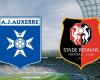 Le Havre – Montpellier: su quale canale e a che ora vedere in diretta la partita di Ligue 1?