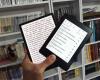 Gli svantaggi degli e-reader digitali che dovrebbero essere menzionati