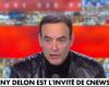 “Fornirò le prove se necessario”: Anthony Delon parla dell'eredità di suo padre Alain Delon