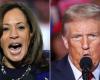 Donald Trump, Kamala Harris, chi sarà presidente degli Usa?