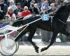 Quinté al Paris Vincennes martedì 5 novembre: i pronostici di Hervé Fortin