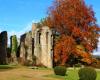 9 parchi e giardini apriranno gratuitamente le loro porte al pubblico il 16 e 17 novembre in occasione della 1a edizione di Parcs en Automne – Angers Info