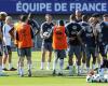 La partita Francia-Israele in uno stadio corso? La sorprendente proposta di un esponente del Raduno Nazionale