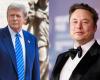 Donald Trump rieletto presidente degli Stati Uniti: Musk potenziale ministro, una politica che si interroga… come sarà il suo secondo mandato?