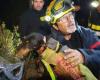 Vigili del fuoco e speleologi… Lo spettacolare salvataggio di un cane intrappolato da sabato nei Pirenei orientali