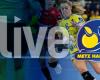 seguire la partita tra Metz Handball e Besançon